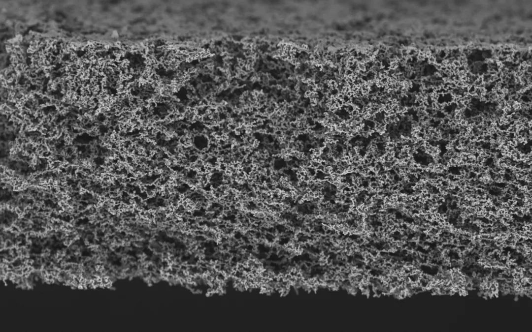 1648785367285500KYH5.png 圖片7.png