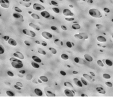 1648789509243115Ra5Z.png 圖片5.png