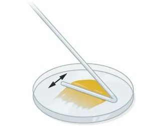 1689644218167285HMea.jpg 640.jpg