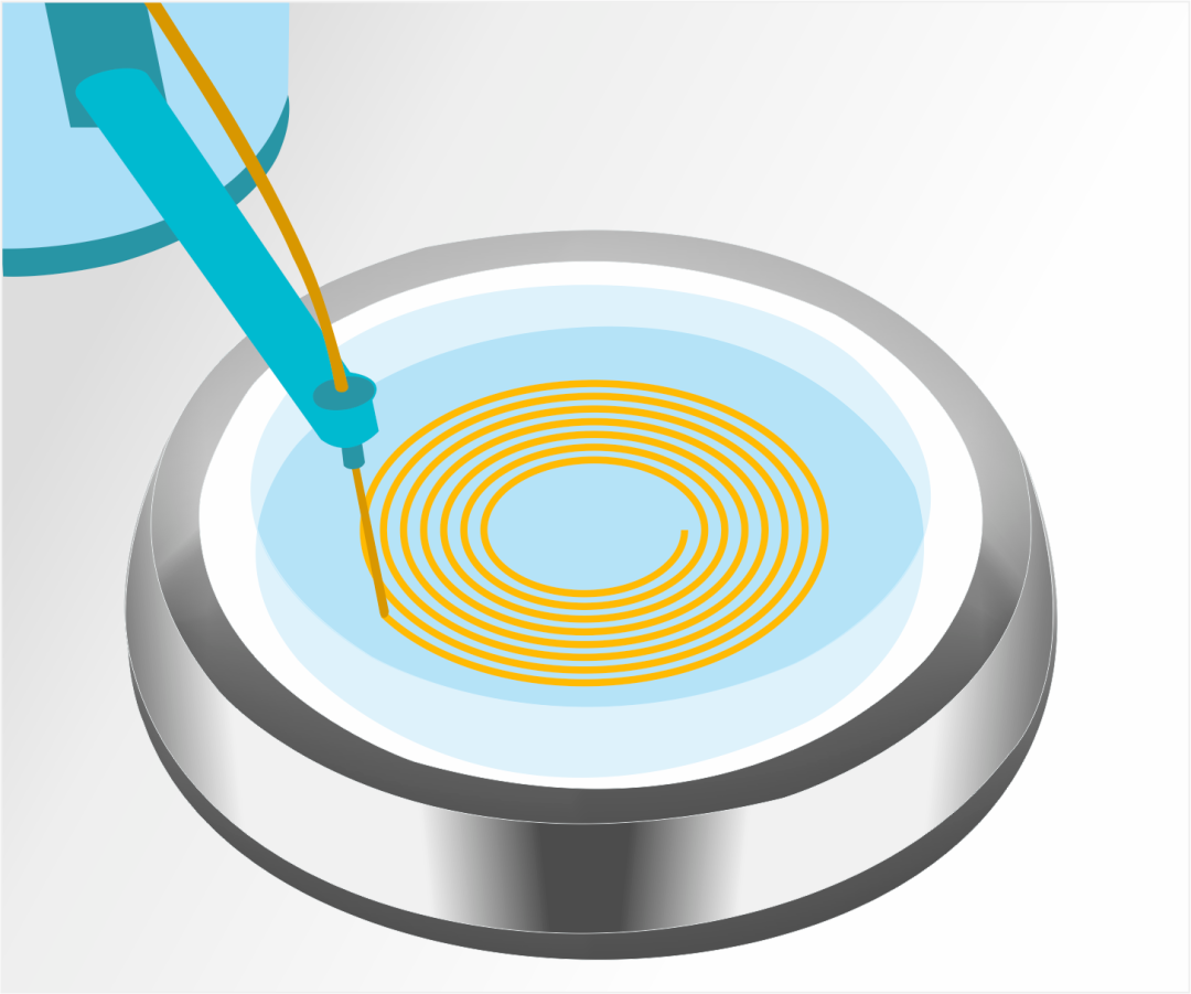 1689644232953420Y1aM.png 640 (6).png